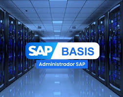 SAP BASIS ADMIN