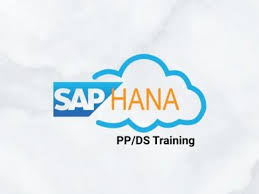SAP PPDS